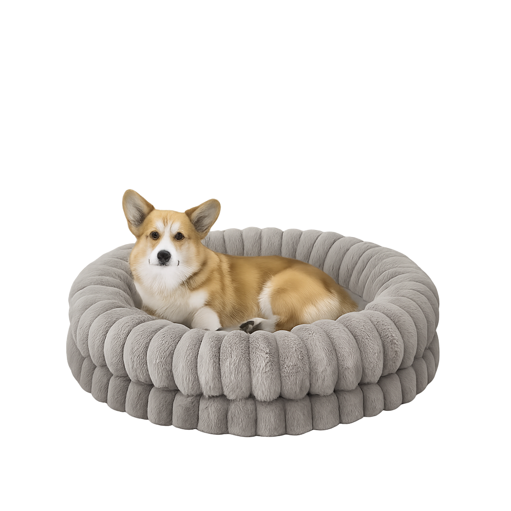 Dog Beds