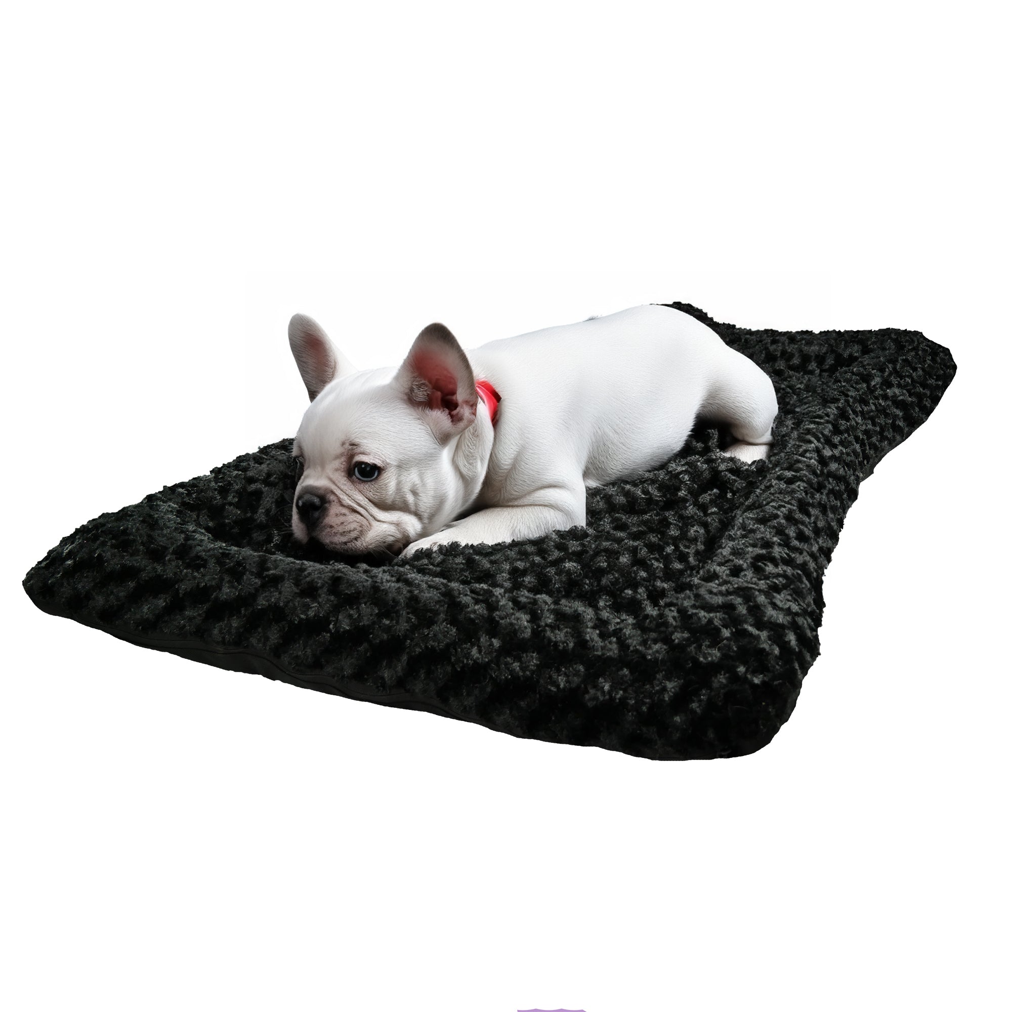 Scout Perfect Bolster Dog Bed