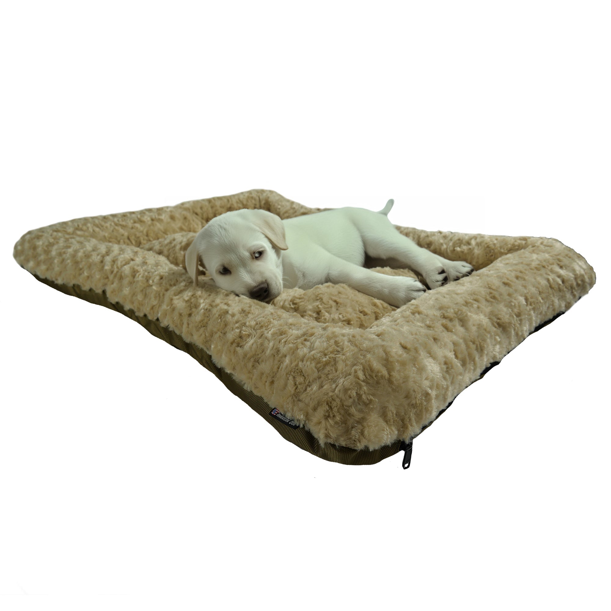 Scout Perfect Bolster Dog Bed