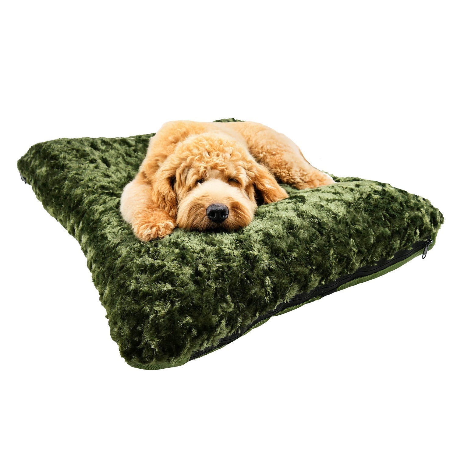 Scout Perfect Bolster Dog Bed