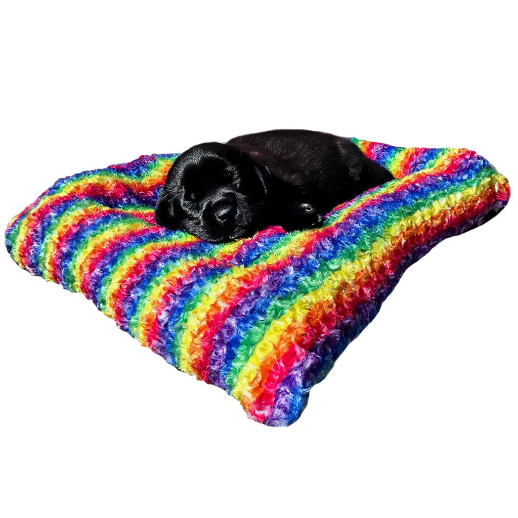 Scout Perfect Bolster Dog Bed