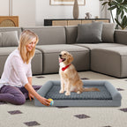 Orthopedic Foam Dog Sofa Bed with Removable Cover
