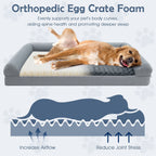 Orthopedic Foam Dog Sofa Bed with Removable Cover
