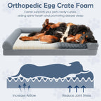 Orthopedic Foam Dog Sofa Bed with Removable Cover