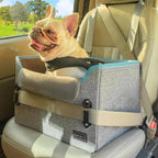 PETSFIT Small Dog Booster Car Seat with Safety Buckles & Tether, Foldable