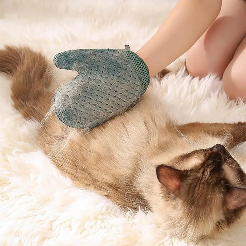 Pet Grooming Glove Hair Remover