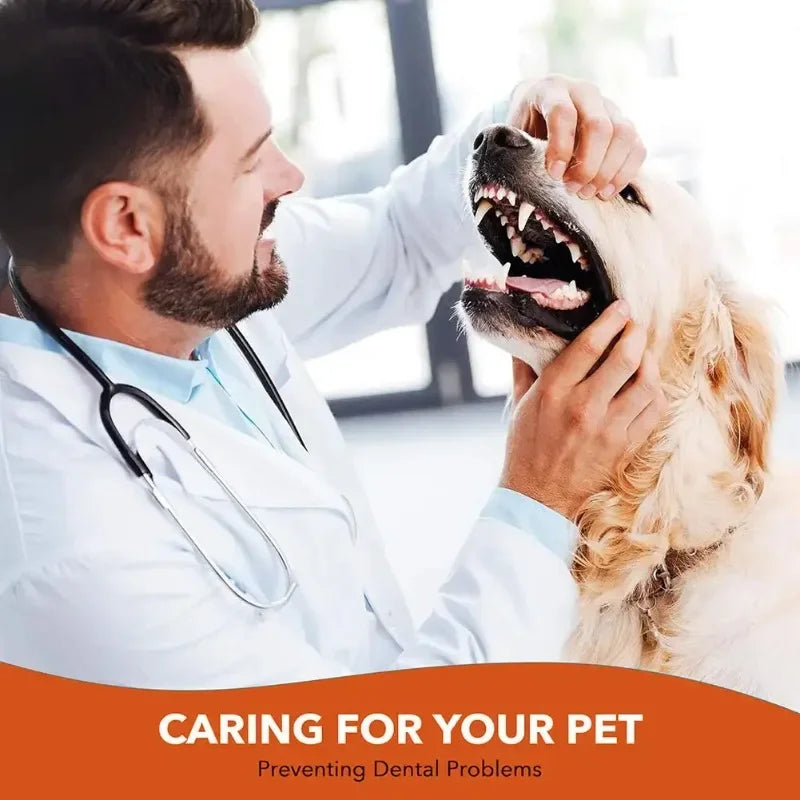 Cat & Dog Toothbrush Cleaning Brush