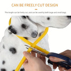 USB Rechargeable LED Dog Collar for Night Walks