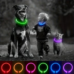 USB Rechargeable LED Dog Collar for Night Walks