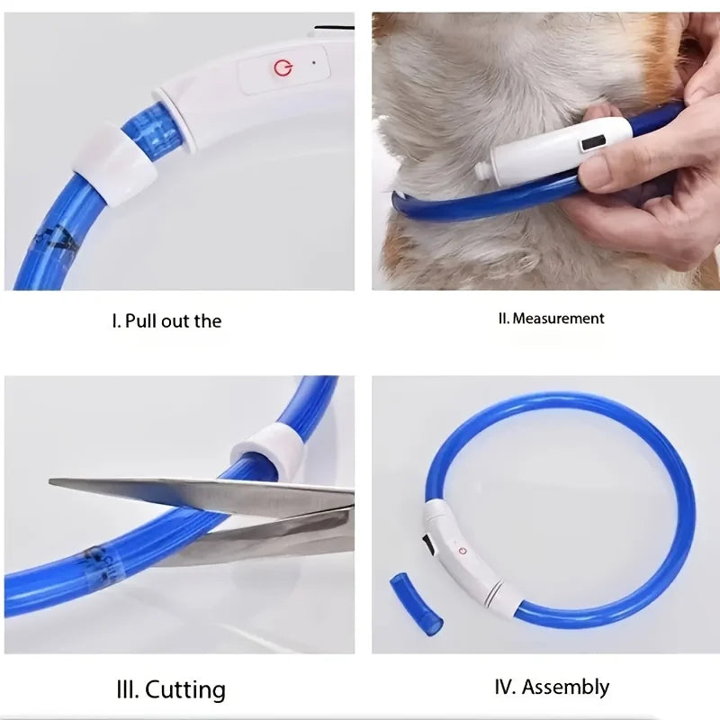 USB Rechargeable LED Dog Collar for Night Walks
