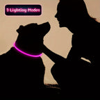 USB Rechargeable LED Dog Collar for Night Walks