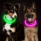 USB Rechargeable LED Dog Collar for Night Walks