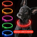 USB Rechargeable LED Dog Collar for Night Walks