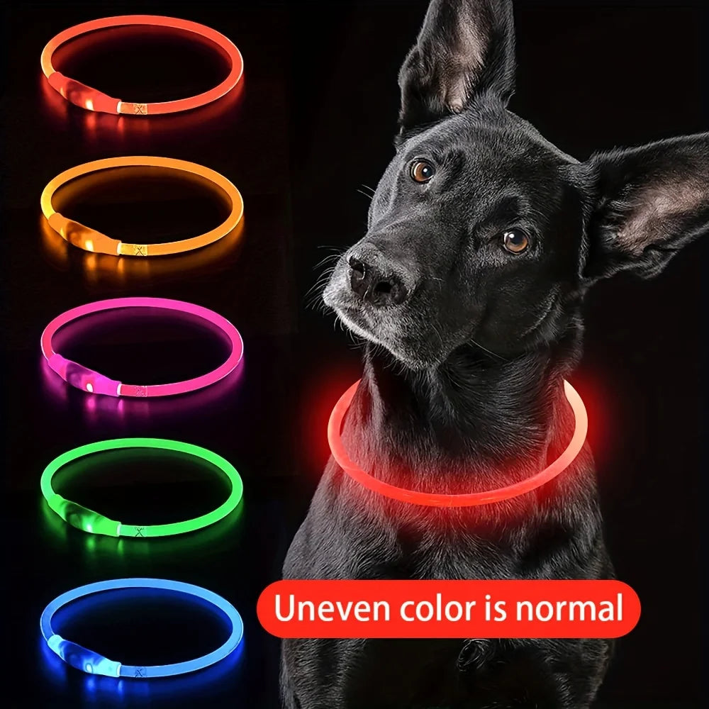 USB Rechargeable LED Dog Collar for Night Walks