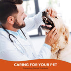 Cat & Dog Toothbrush Cleaning Brush