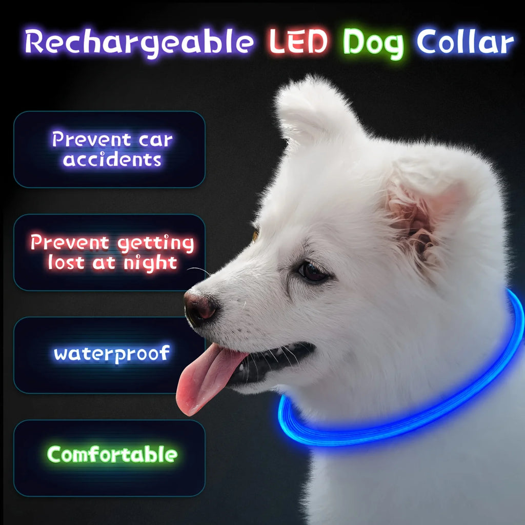 USB Rechargeable LED Dog Collar for Night Walks