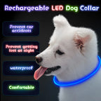 USB Rechargeable LED Dog Collar for Night Walks