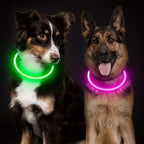 USB Rechargeable LED Dog Collar for Night Walks