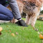 LED Dog Poop Bag Dispenser with Waste Bags