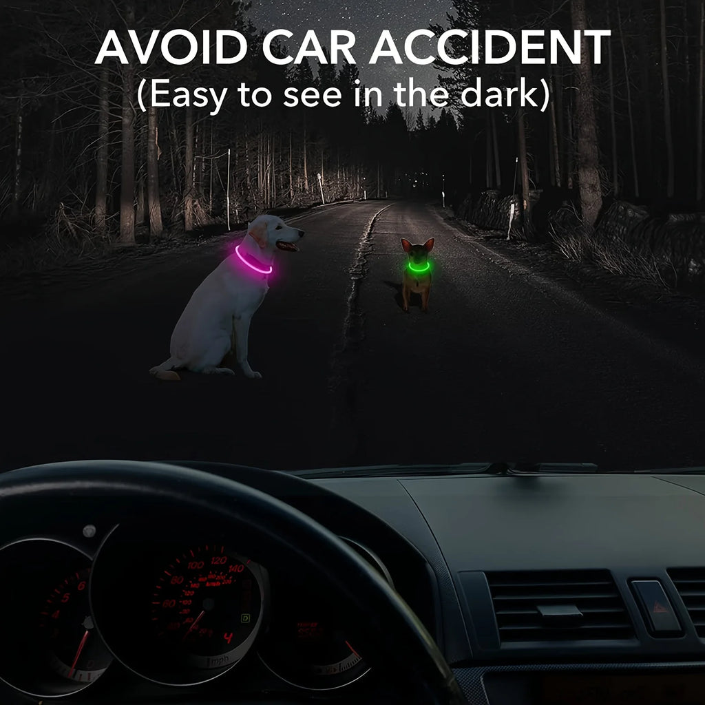 USB Rechargeable LED Dog Collar for Night Walks