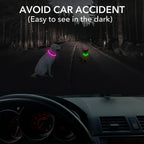 USB Rechargeable LED Dog Collar for Night Walks