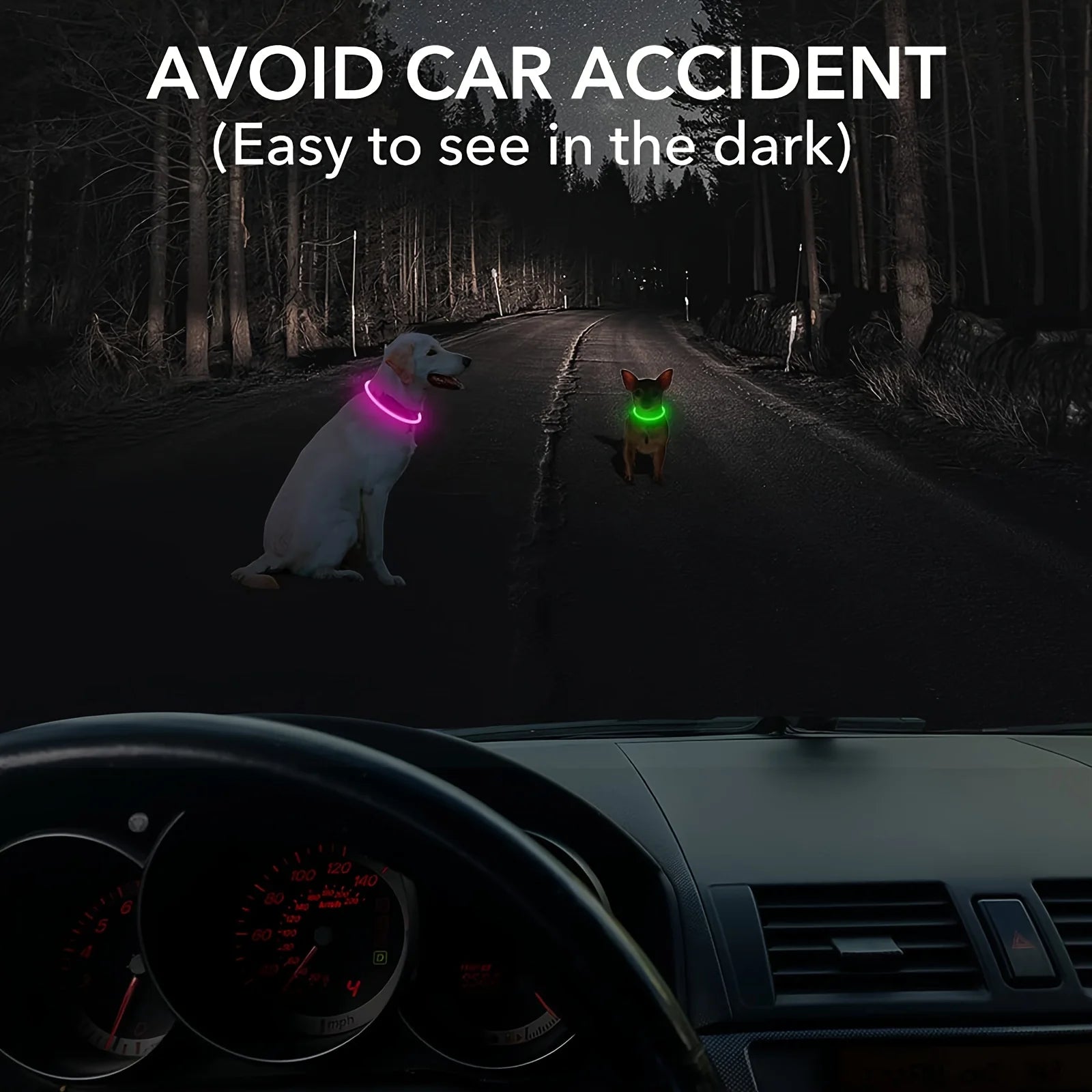 USB Rechargeable LED Dog Collar for Night Walks