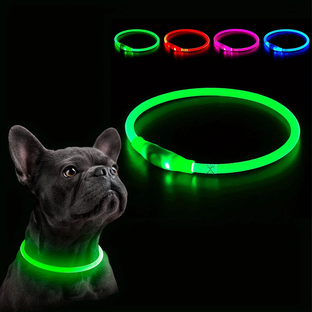 USB Rechargeable LED Dog Collar for Night Walks