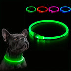 USB Rechargeable LED Dog Collar for Night Walks
