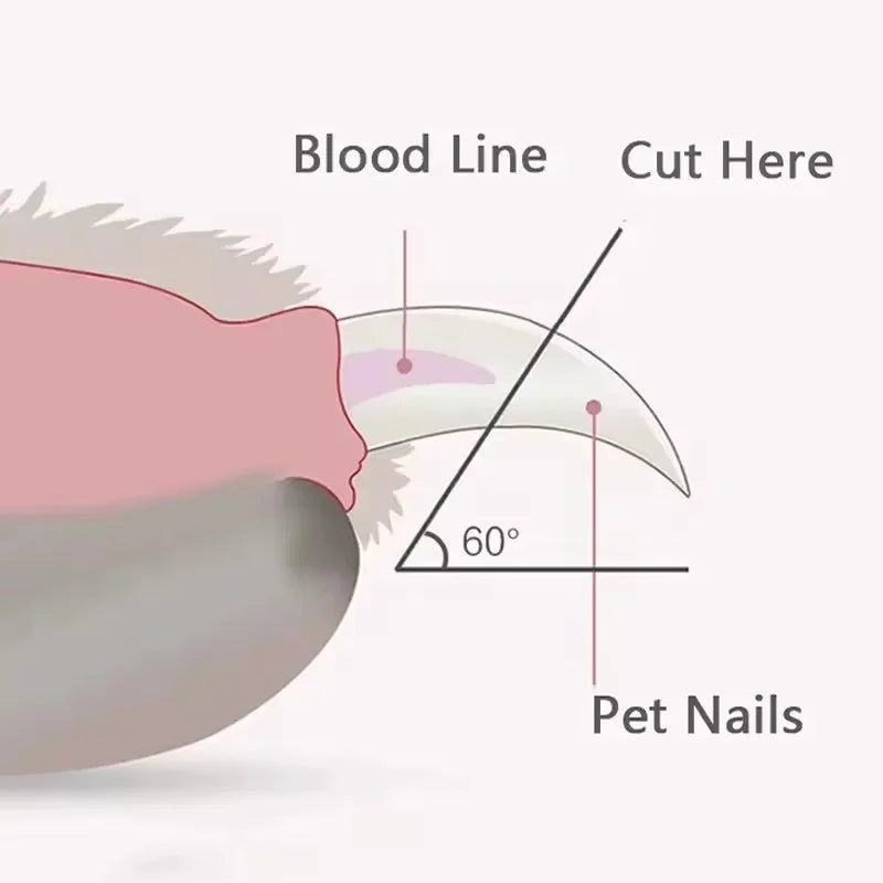 Professional Cat & Dog Nail Scissors