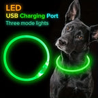 USB Rechargeable LED Dog Collar for Night Walks