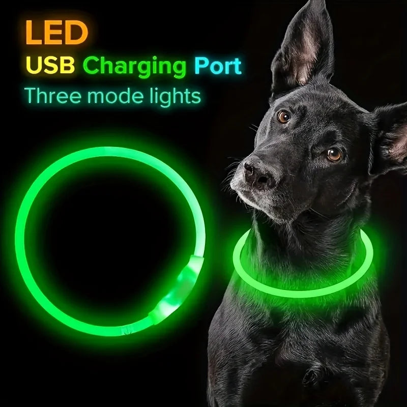 USB Rechargeable LED Dog Collar for Night Walks