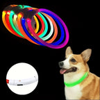 USB Rechargeable LED Dog Collar for Night Walks