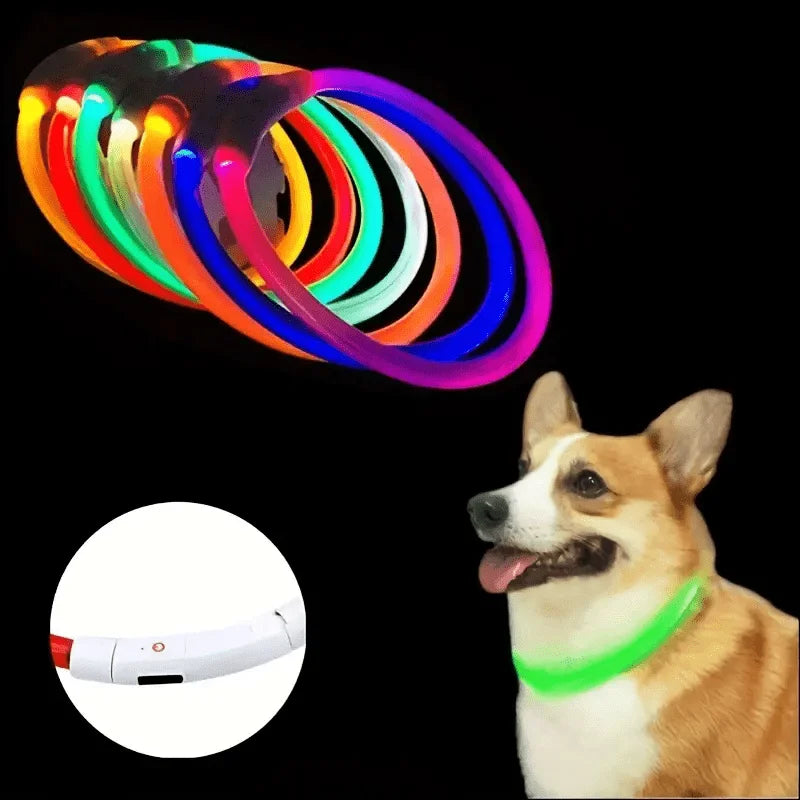 USB Rechargeable LED Dog Collar for Night Walks